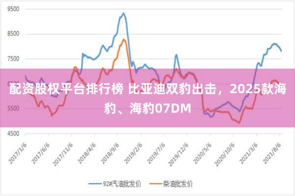 配资股权平台排行榜 比亚迪双豹出击，2025款海豹、海豹07DM