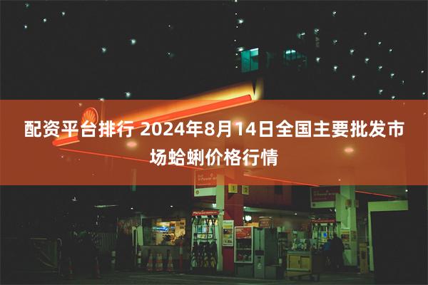 配资平台排行 2024年8月14日全国主要批发市场蛤蜊价格行情