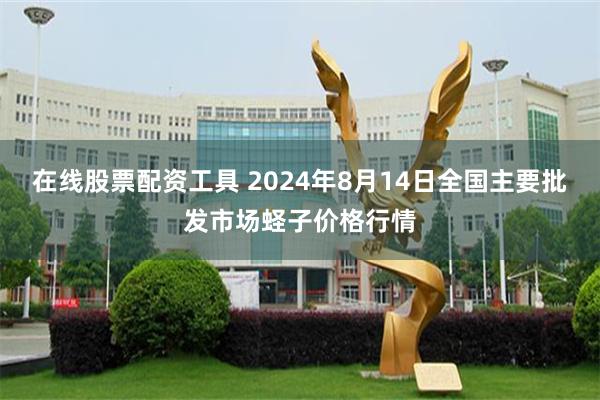 在线股票配资工具 2024年8月14日全国主要批发市场蛏子价格行情